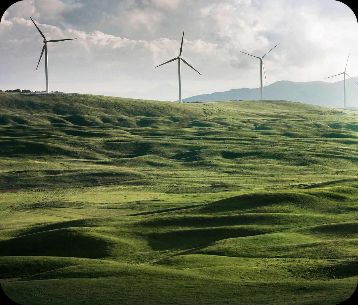 eco-friendly
