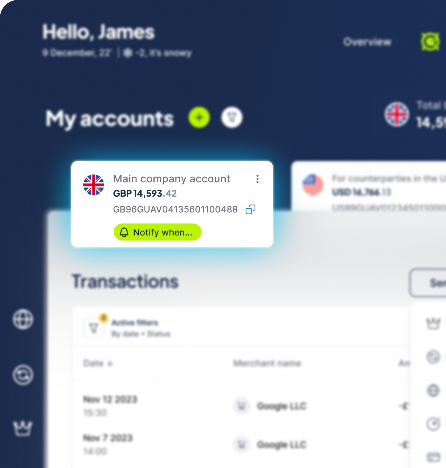 Snapshot of MyGuava Business Account Interface with Multiple Accounts and Transaction Records, enabling efficient global payment management
